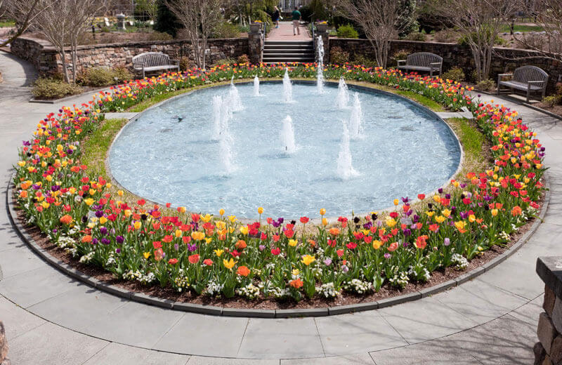 Small pool of water with water spraying in the air surrounded by colorful flowers