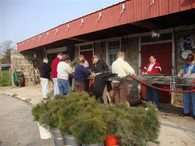 People wrapping tree on earth day