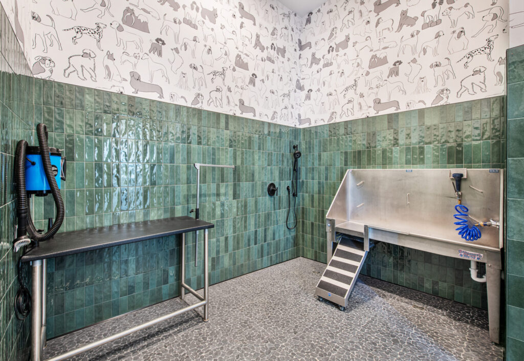 Traditions of America Clubhouse